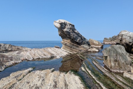 南雅